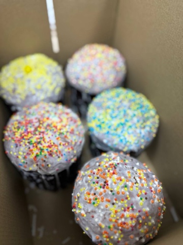 photo 18 04 2025 02